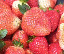 logistic resource solutions colombia